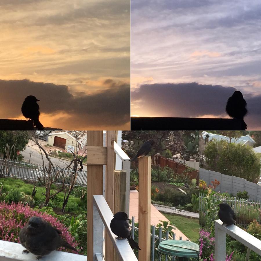 Guest house Paradise Found Knysna